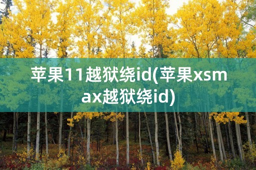 苹果11越狱绕id(苹果xsmax越狱绕id)