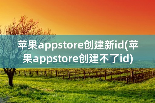 苹果appstore创建新id(苹果appstore创建不了id)