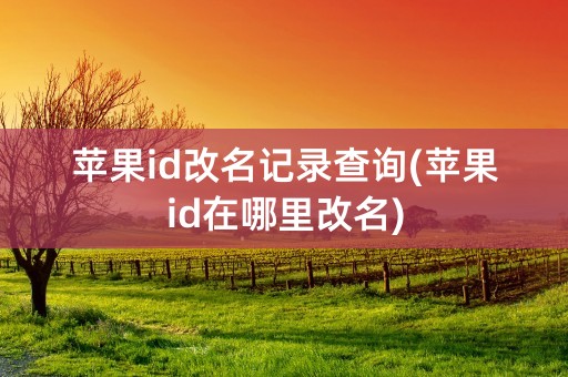 苹果id改名记录查询(苹果id在哪里改名)