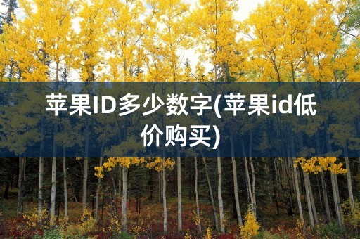 苹果ID多少数字(苹果id低价购买)