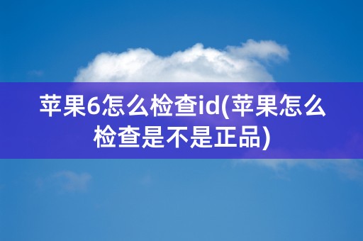 苹果6怎么检查id(苹果怎么检查是不是正品)