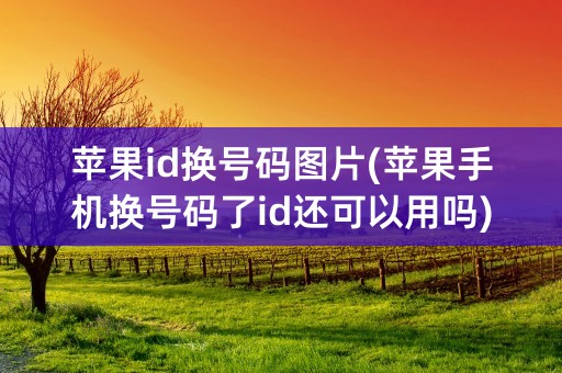 苹果id换号码图片(苹果手机换号码了id还可以用吗)