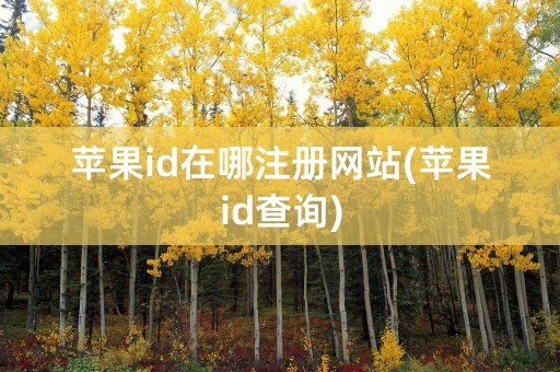 苹果id在哪注册网站(苹果id查询)