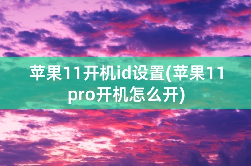 苹果11开机id设置(苹果11pro开机怎么开)