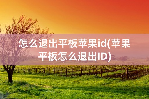 怎么退出平板苹果id(苹果平板怎么退出ID)