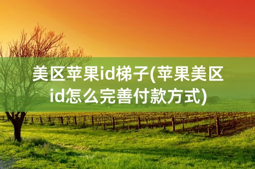 美区苹果id梯子(苹果美区id怎么完善付款方式)