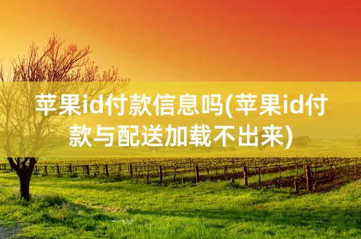 苹果id付款信息吗(苹果id付款与配送加载不出来)