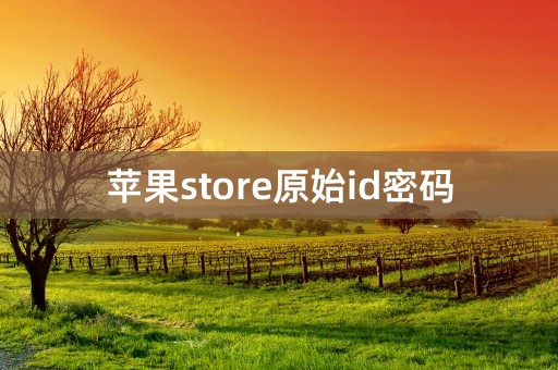 苹果store原始id密码