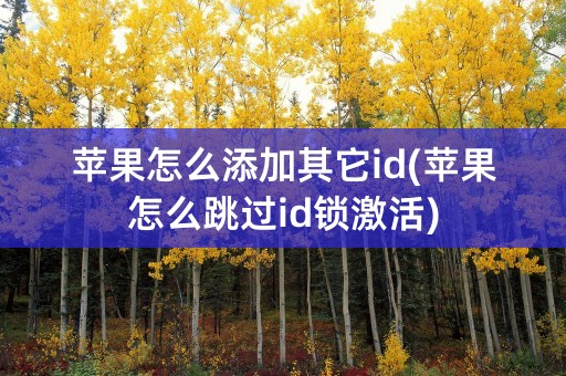 苹果怎么添加其它id(苹果怎么跳过id锁激活)