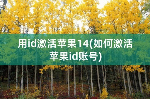 用id激活苹果14(如何激活苹果id账号)