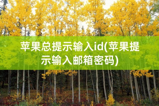 苹果总提示输入id(苹果提示输入邮箱密码)