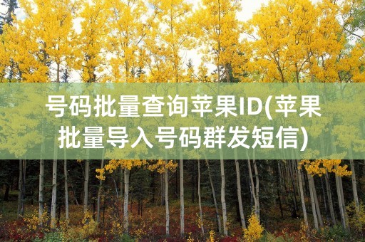 号码批量查询苹果ID(苹果批量导入号码群发短信)