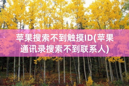 苹果搜索不到触摸ID(苹果通讯录搜索不到联系人)