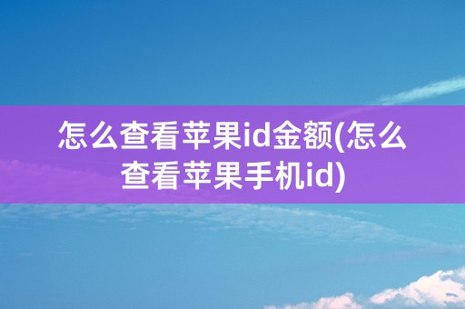 怎么查看苹果id金额(怎么查看苹果手机id)