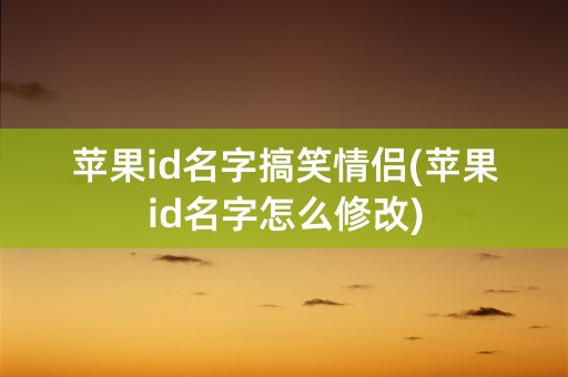 苹果id名字搞笑情侣(苹果id名字怎么修改)