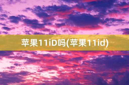 苹果11iD吗(苹果11id)