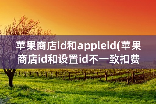 苹果商店id和appleid(苹果商店id和设置id不一致扣费扣那个)