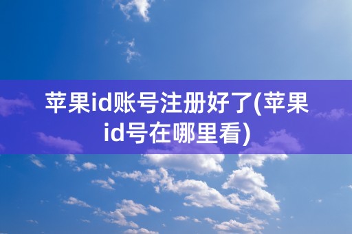 苹果id账号注册好了(苹果id号在哪里看)