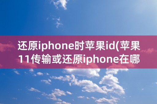 还原iphone时苹果id(苹果11传输或还原iphone在哪里)