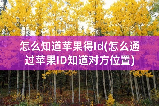 怎么知道苹果得Id(怎么通过苹果ID知道对方位置)