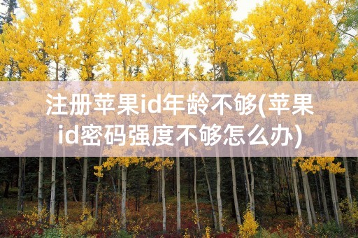 注册苹果id年龄不够(苹果id密码强度不够怎么办)