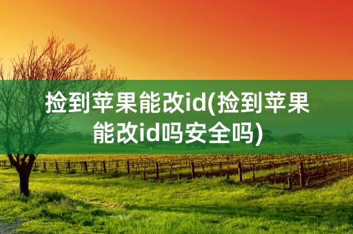 捡到苹果能改id(捡到苹果能改id吗安全吗)