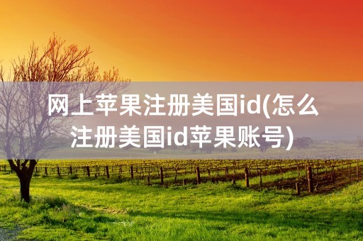 网上苹果注册美国id(怎么注册美国id苹果账号)