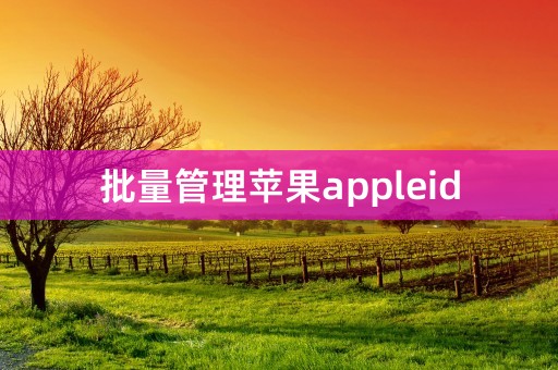 批量管理苹果appleid