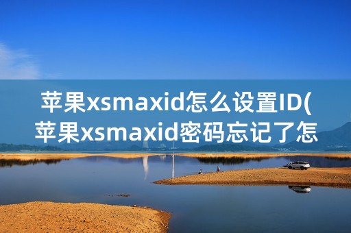 苹果xsmaxid怎么设置ID(苹果xsmaxid密码忘记了怎么办)