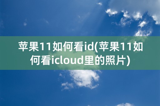 苹果11如何看id(苹果11如何看icloud里的照片)