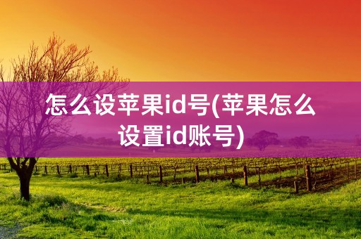 怎么设苹果id号(苹果怎么设置id账号)