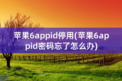 苹果6appid停用(苹果6appid密码忘了怎么办)