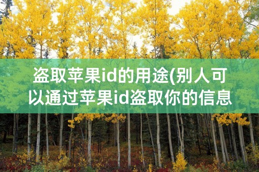 盗取苹果id的用途(别人可以通过苹果id盗取你的信息吗)