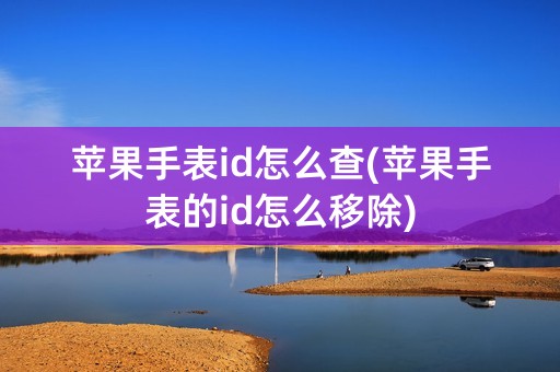 苹果手表id怎么查(苹果手表的id怎么移除)