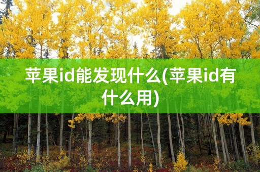 苹果id能发现什么(苹果id有什么用)