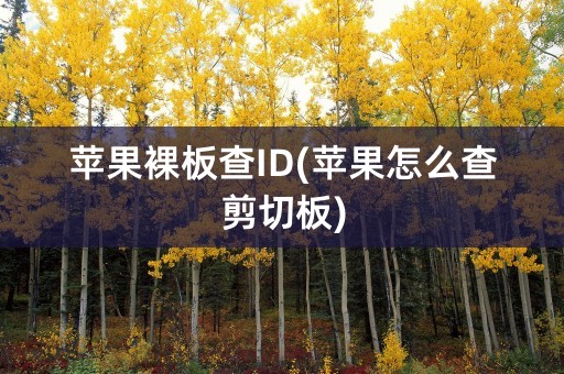 苹果裸板查ID(苹果怎么查剪切板)