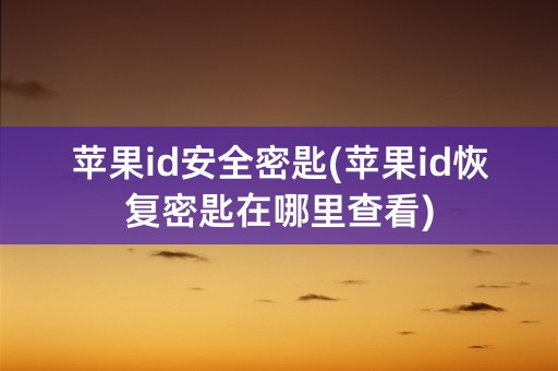 苹果id安全密匙(苹果id恢复密匙在哪里查看)