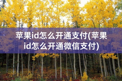 苹果id怎么开通支付(苹果id怎么开通微信支付)