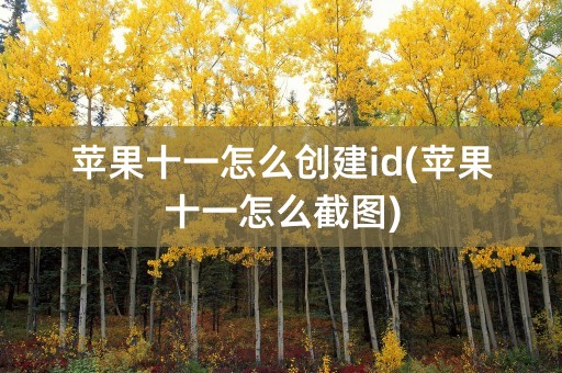 苹果十一怎么创建id(苹果十一怎么截图)