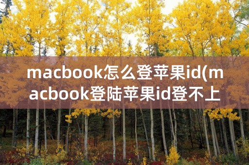 macbook怎么登苹果id(macbook登陆苹果id登不上)