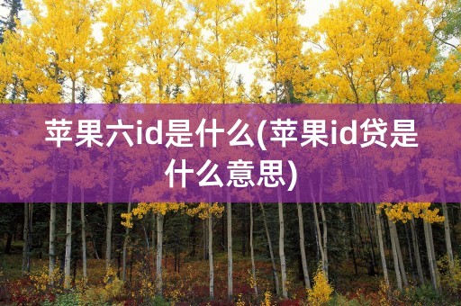 苹果六id是什么(苹果id贷是什么意思)