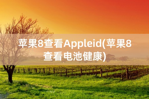 苹果8查看Appleid(苹果8查看电池健康)