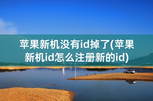 苹果新机没有id掉了(苹果新机id怎么注册新的id)