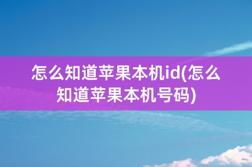 怎么知道苹果本机id(怎么知道苹果本机号码)