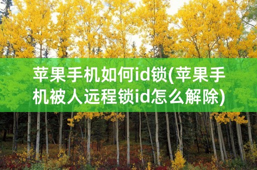 苹果手机如何id锁(苹果手机被人远程锁id怎么解除)