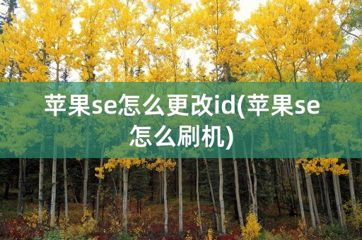 苹果se怎么更改id(苹果se怎么刷机)