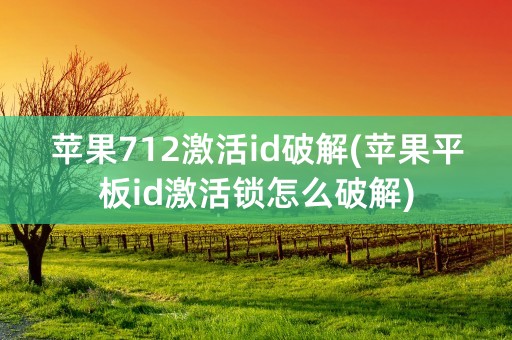 苹果712激活id破解(苹果平板id激活锁怎么破解)