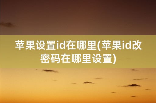 苹果设置id在哪里(苹果id改密码在哪里设置)