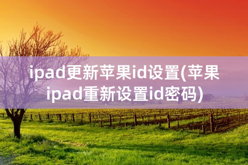 ipad更新苹果id设置(苹果ipad重新设置id密码)