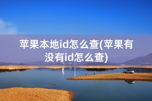 苹果本地id怎么查(苹果有没有id怎么查)